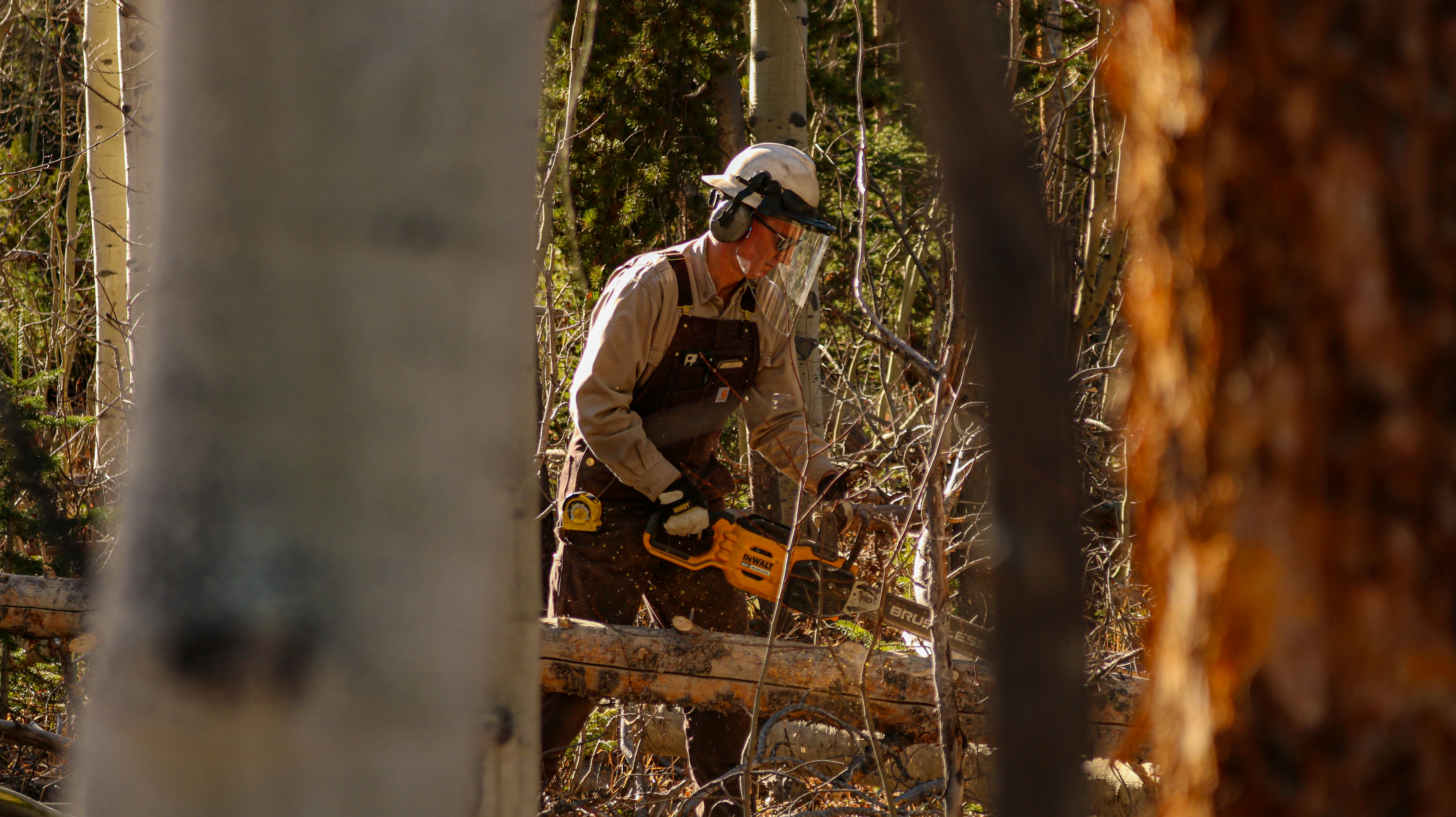 Tree Service Morristown, VT
