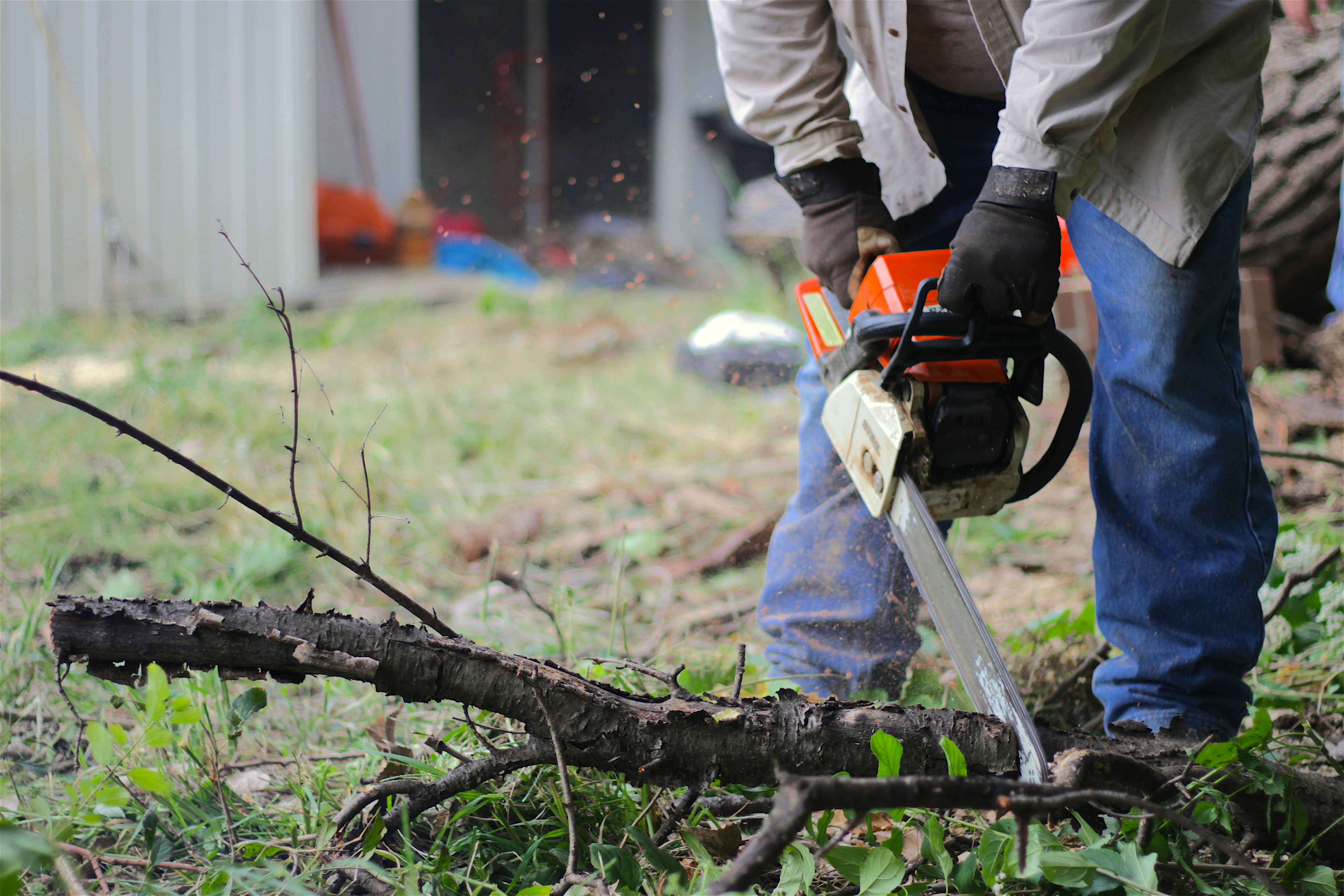 Stump Grinding